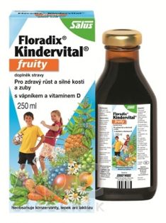 SALUS Floradix Kindervital fruity